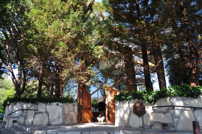 ����� ����. ������� �������� � �����-�����-������, ���� ����������