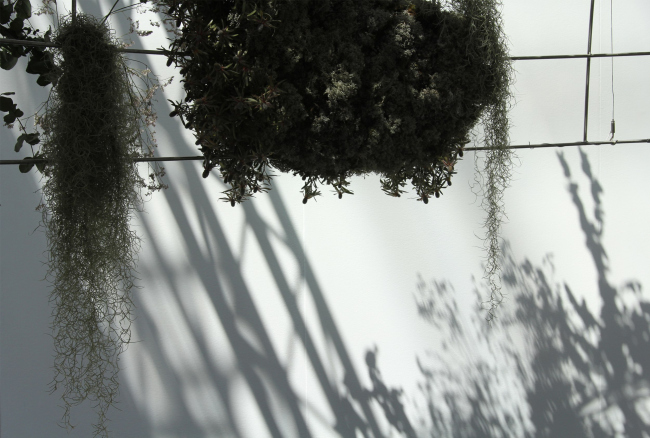 ��� ������ 2024