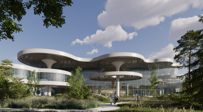 �������� ����-Ը�������. ������ �� ������ ��������. ��� �� ������ ��������� �� �����