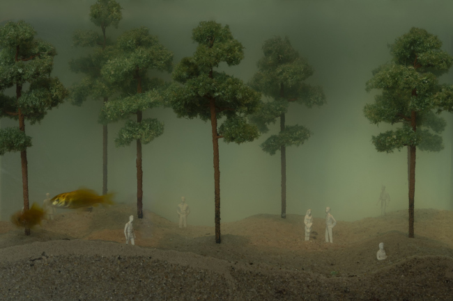 ������ ���� �� ������� ������� ���������-���������� ������ � �������� ���� ����