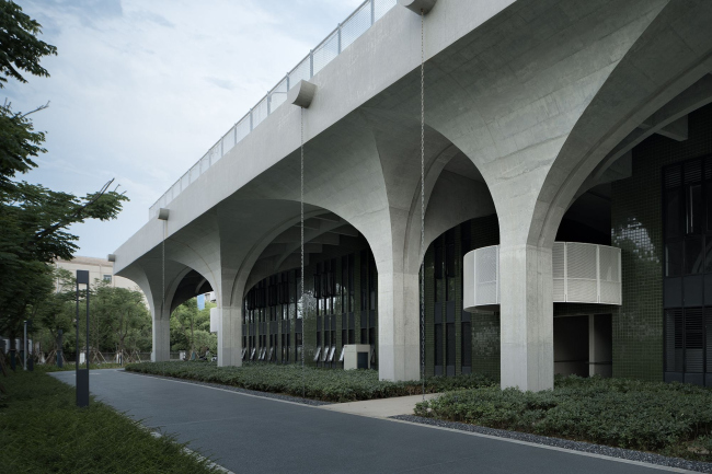 ������������� ���� ����������� ������������