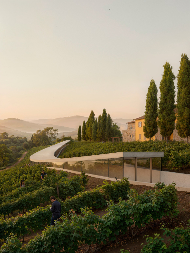 The wine path. ������������ �� ����