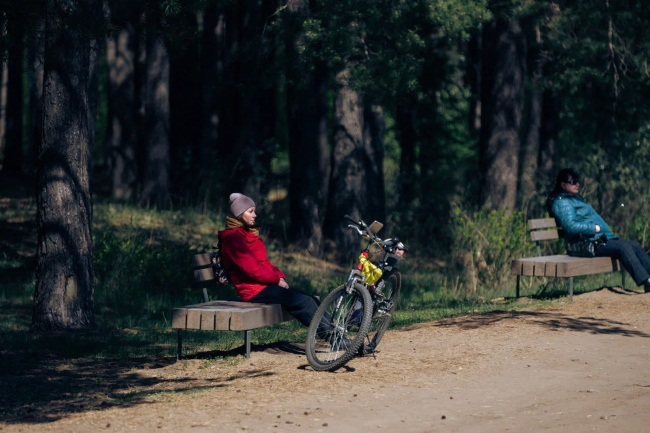 ���� ����������