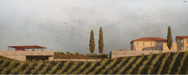 The Forum. 3 ����� � �������� Cultural Winery 2024
