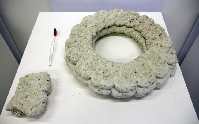 Degree Show � Universal University, 2024