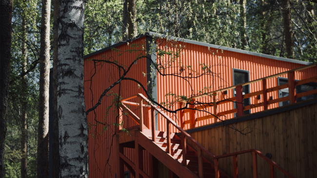 ������ ����. ������ ����