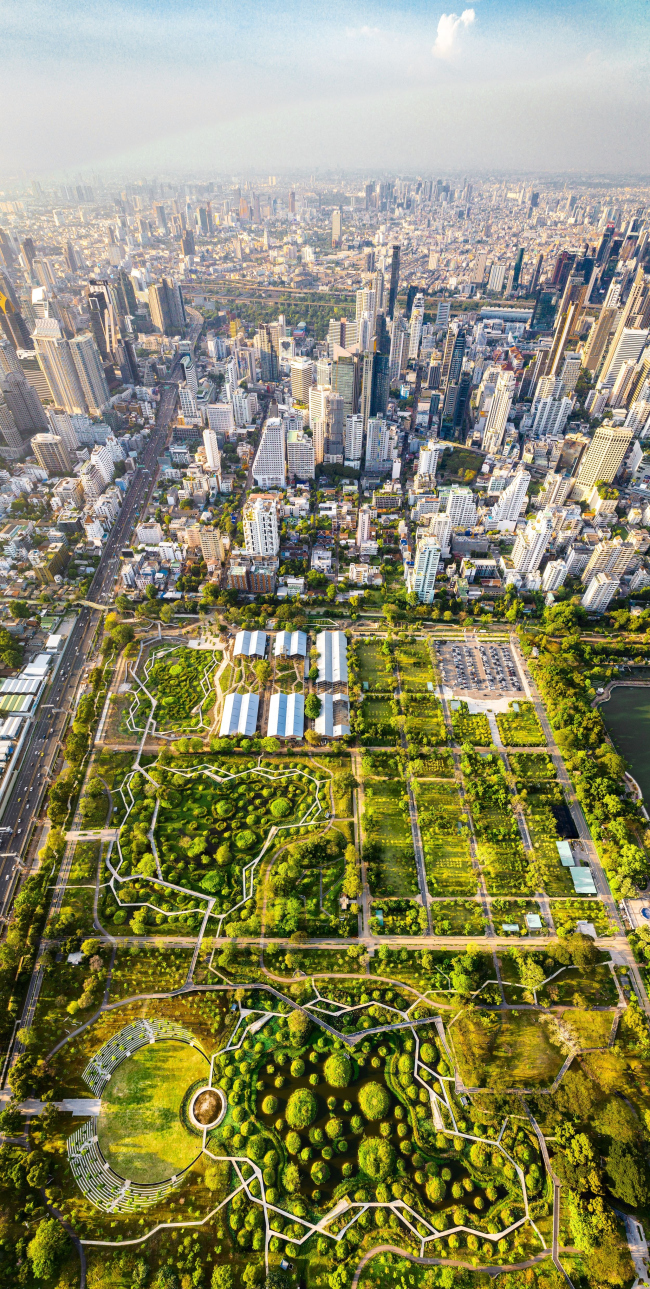 ���� �����������