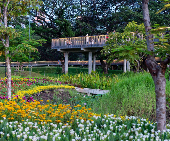 ���� �����������