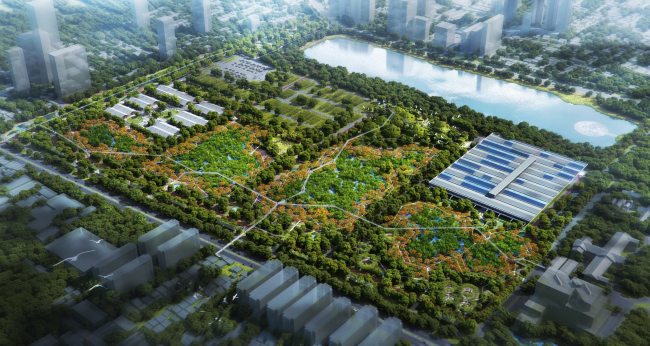 ���� �����������