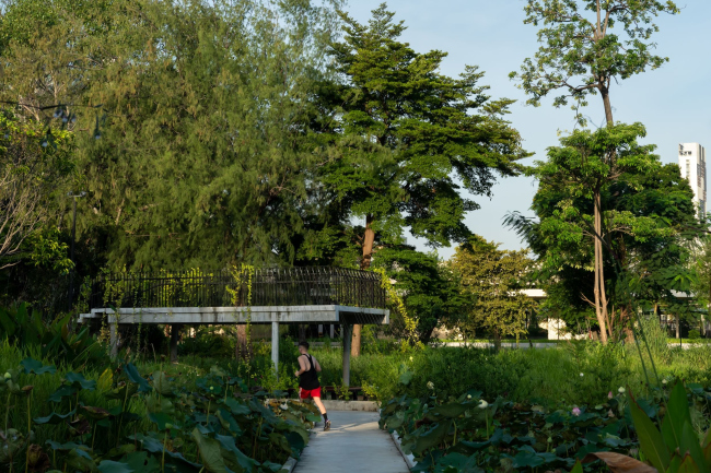 ���� �����������