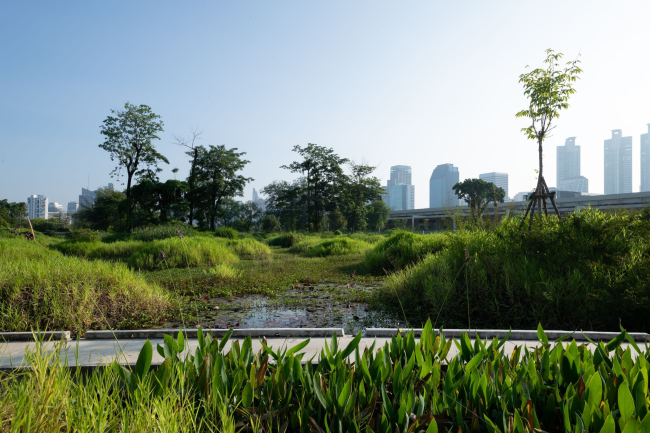 ���� �����������