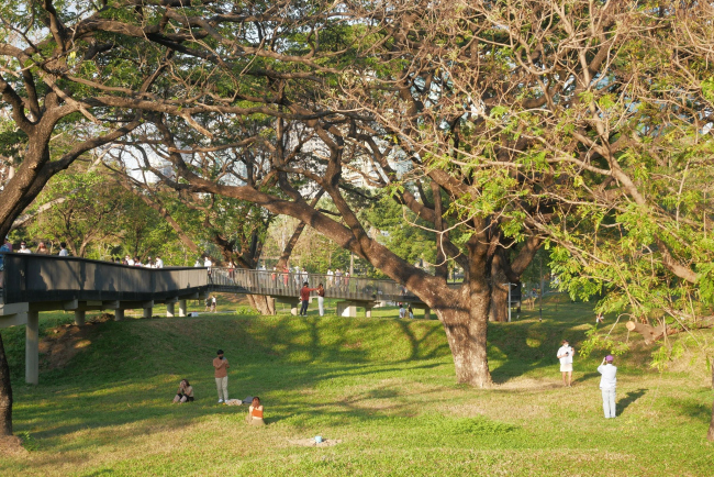 ���� �����������