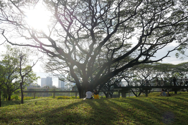 ���� �����������