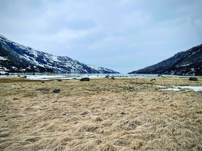 ������. ����, ������������, 2024