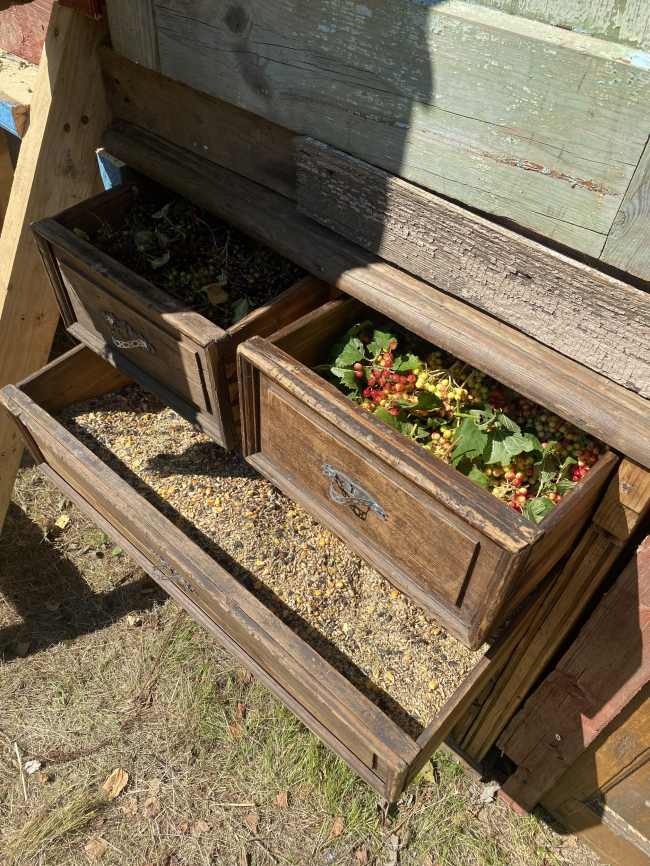 ���� �����