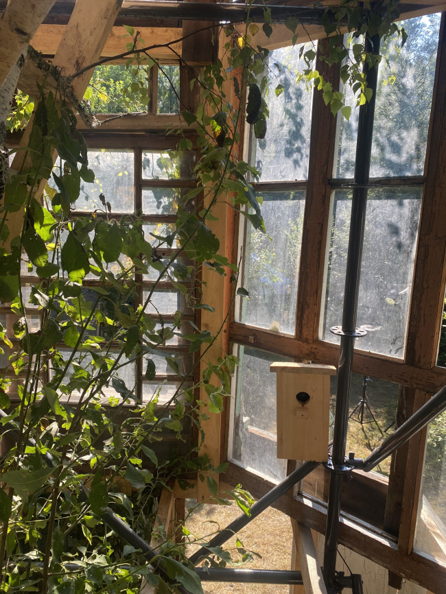 ���� �����