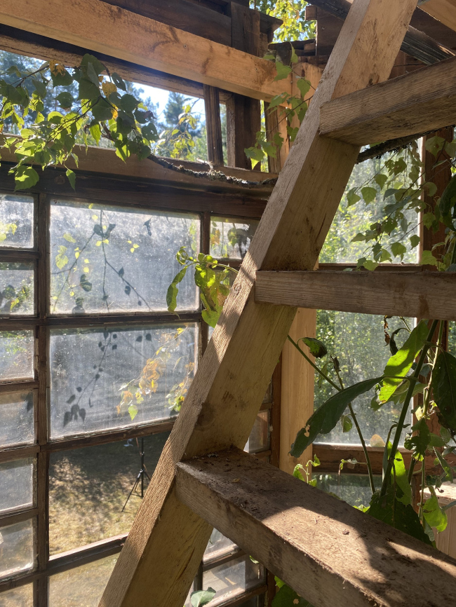 ���� �����