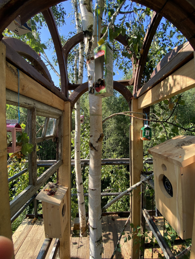 ���� �����