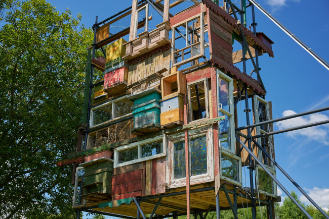 ���� �����