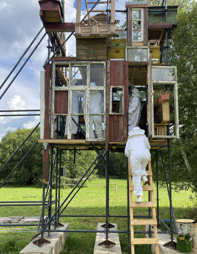 ���� �����