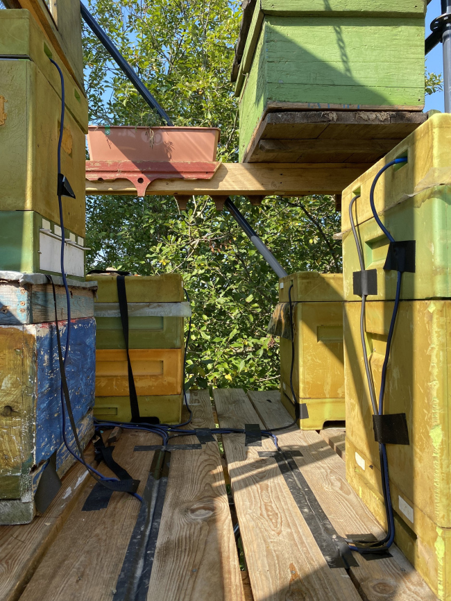 ���� �����