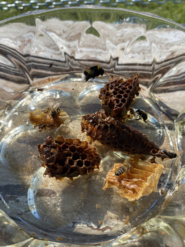 ���� �����