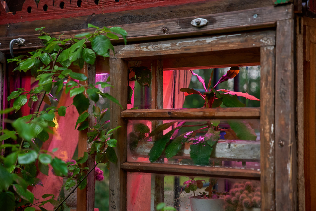 ���� �����