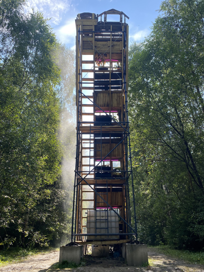 ���� �����