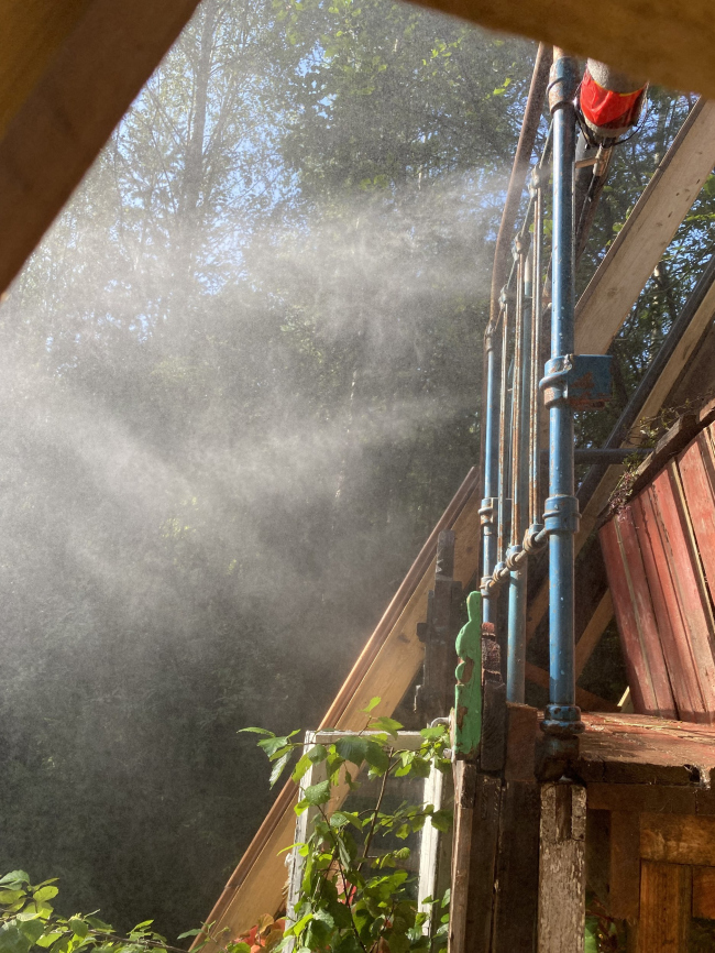 ���� �����