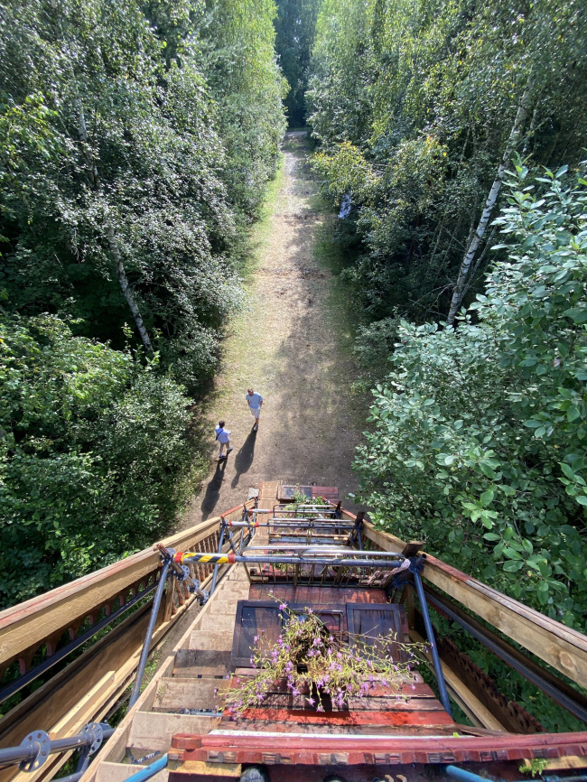 ���� �����