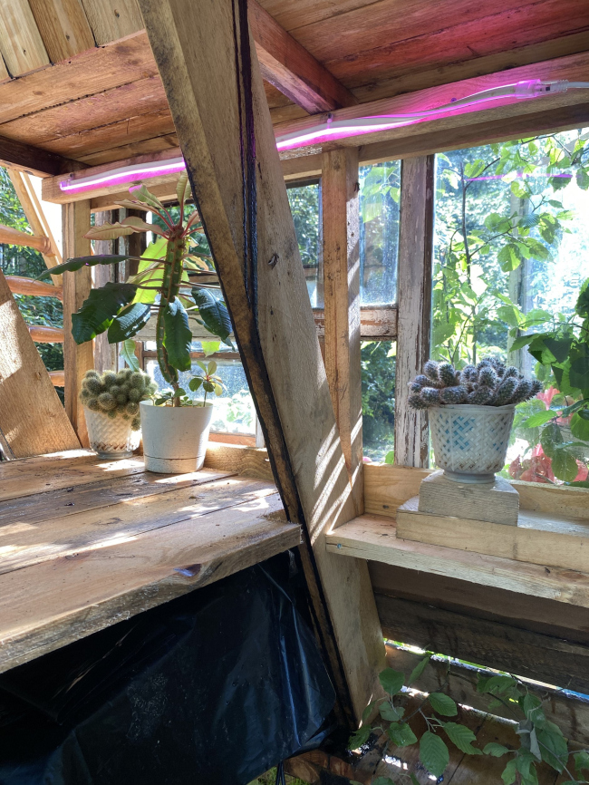 ���� �����