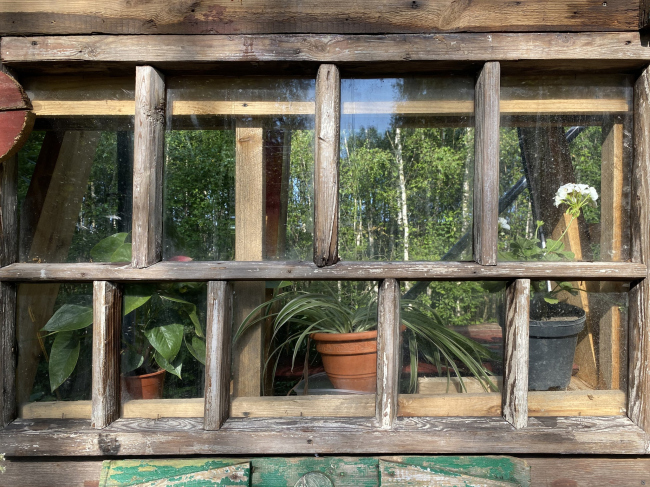 ���� �����