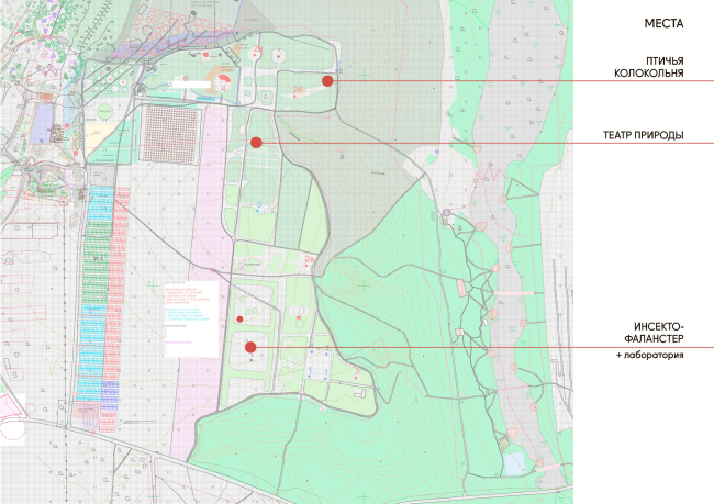 ���� �����