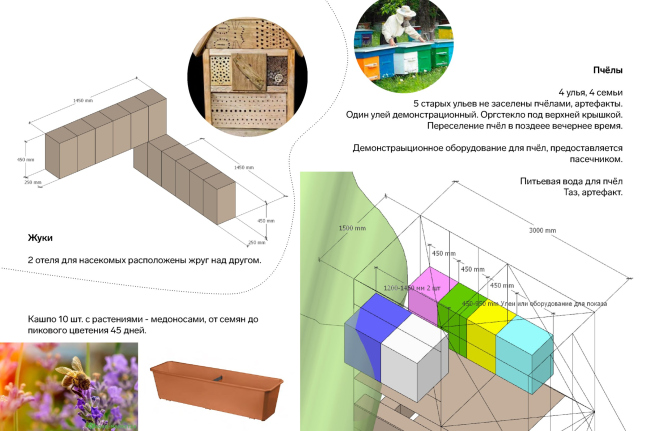 ���� �����. �������-���������. ������