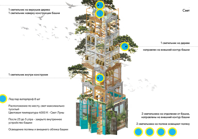 ���� �����. ������ ����������. ����