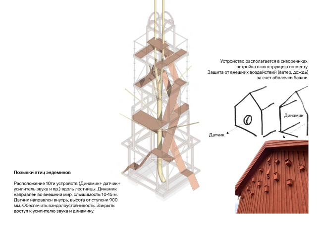 ���� �����. ������ ����������. ����