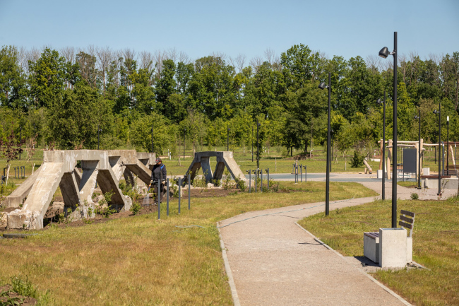 �������� ���� �����������