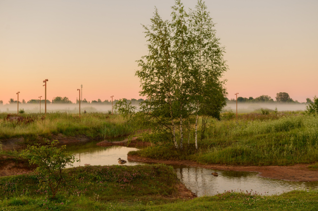 ����������� ��������: ���� ����� �������