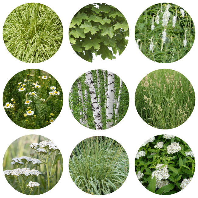 ��������� ��������������� ������ ������� � ��������� ������. ����������� ����������