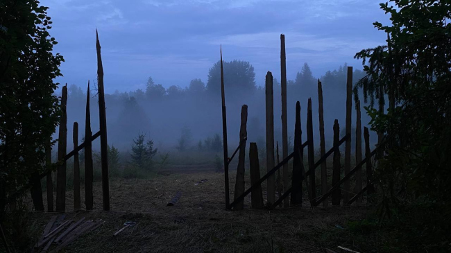 ������ [�]������, ���������� 2024, 1 �����