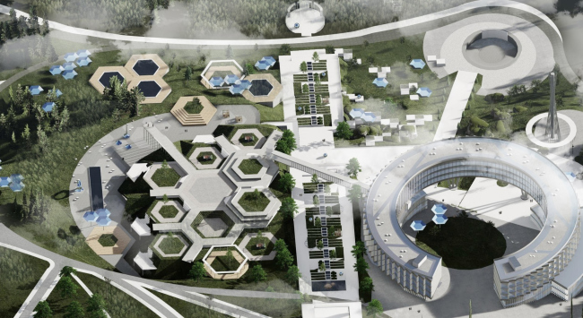 ������������� �������� �������