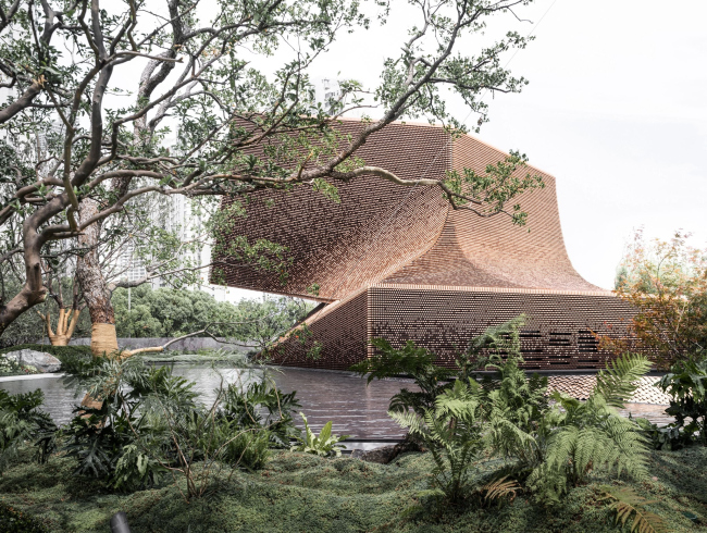 ��������c��� ����������� ���-��������