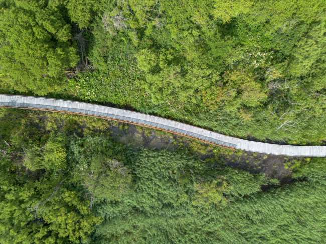 Инфраструктурно-ландшафтный проект Сторкенген Инфраструктурно-ландшафтный проект Сторкенген