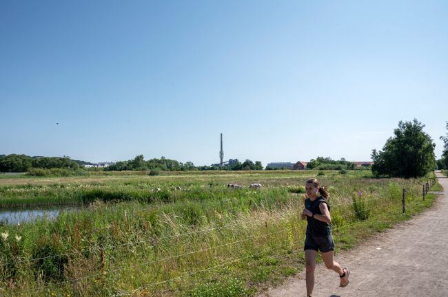 Инфраструктурно-ландшафтный проект Сторкенген Инфраструктурно-ландшафтный проект Сторкенген