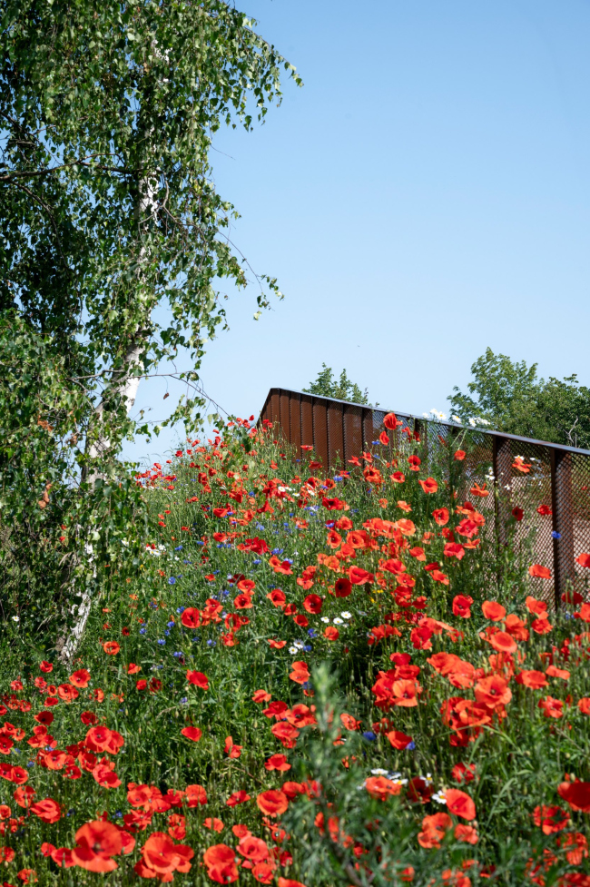 Инфраструктурно-ландшафтный проект Сторкенген Инфраструктурно-ландшафтный проект Сторкенген