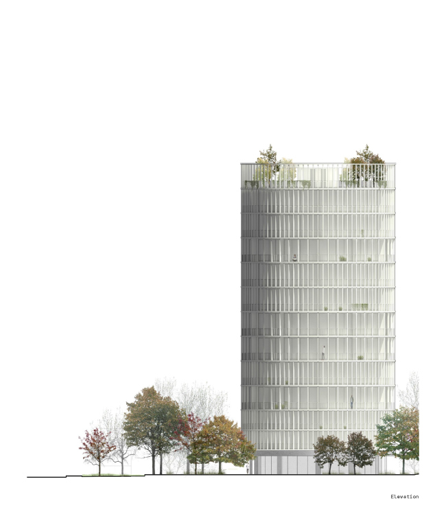 ������������ ��������� Hoso � �����