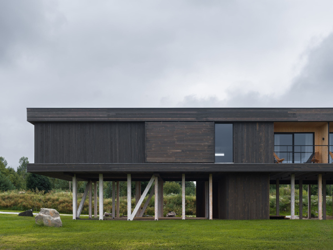 �������� ������, Rhizome