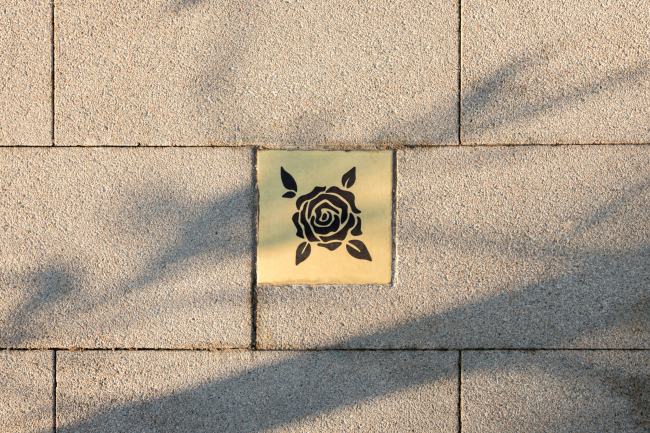 ��������������� ������ ������� � ����