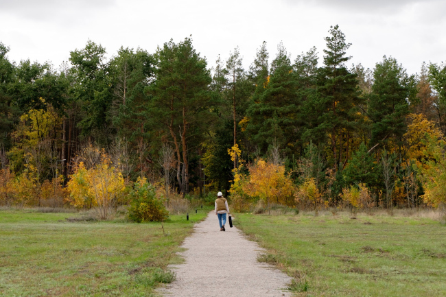 ������� ������� ���