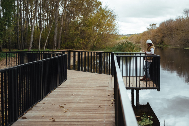 ������� ������� ���